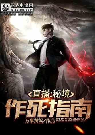 哥特舰队